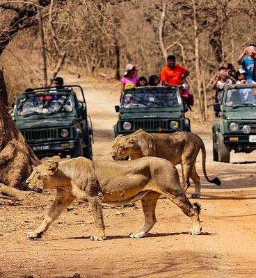 Sasangir Tour